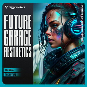SINGOMAKERS FUTURE GARAGE AESTHETICS(�I�����C���[�i)(2���Ԉȓ��ɔ[�i) �v���O�C���\�t�g