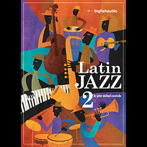 BIG FISH AUDIO yrbOtBbVI[fBIZ[IzLATIN JAZZ 2(IC[i)(2Ԉȓɔ[i) vOC\tg