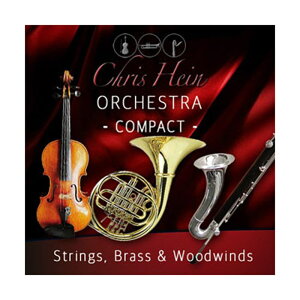 BestService CHRIS HEIN ORCHESTRA COMPACT (�I�����C���[�i)(2���Ԉȓ��ɔ[�i) �\�t�g�E�F�A����