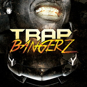 BIG FISH AUDIO TRAP BANGERZ(IC[i)(2Ԉȓɔ[i) vOC\tg