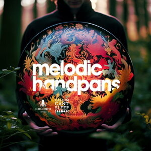 BLACK OCTOPUS Melodic Handpans by CallumCantSleep(�I�����C���[�i)(2���Ԉȓ��ɔ[�i) �v���O�C���\�t�g