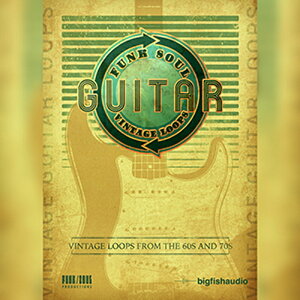 BIG FISH AUDIO yrbOtBbVI[fBIZ[IzFUNK SOUL VINTAGE GUITAR LOOPS(IC[i)(2Ԉȓɔ[i) vOC\tg