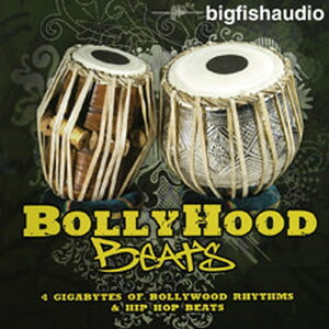 BIG FISH AUDIO yrbOtBbVI[fBIZ[IzBOLLYHOOD BEATS(IC[i)(2Ԉȓɔ[i) vOC\tg