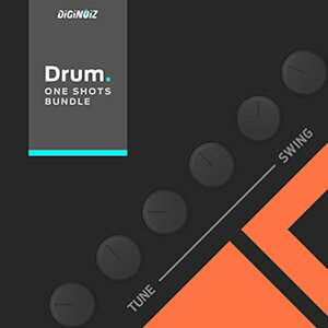 DIGINOIZ DRUM ONE SHOT BUNDLE(オンライン納品)(2時間以内に納品) プラグインソフト