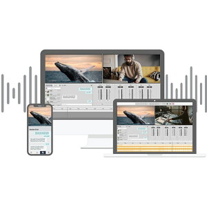 Soundwhale Level 3 Audio Post Solution (Perpetual)(IC[i)(2Ԉȓɔ[i) vOC\tg