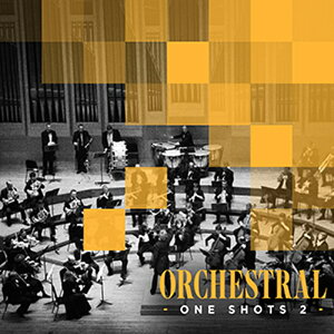 DIGINOIZ ORCHESTRAL ONE SHOTS 2(�I�����C���[�i)(2���Ԉȓ��ɔ[�i) �v���O�C���\�t�g