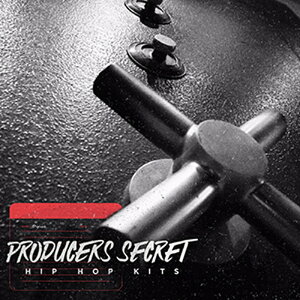 DIGINOIZ PRODUCERS SECRET - HIP HOP KITS(IC[i)(2Ԉȓɔ[i) vOC\tg
