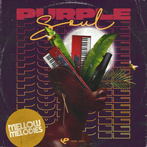 PRIME LOOPS PURPLE SOUL(IC[i)(2Ԉȓɔ[i) vOC\tg