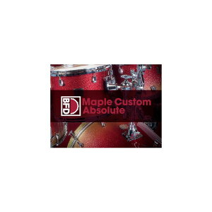 BFD BFD Maple Custom Absolute (r[GtfB[)(h)(IC[i)(2Ԉȓɔ[i) \tgEFA