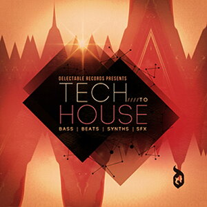 DELECTABLE RECORDS TECH TO HOUSE(�I�����C���[�i)(2���Ԉȓ��ɔ[�i) �v���O�C���\�t�g