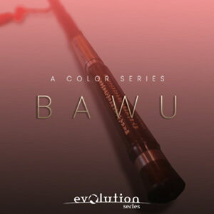 EVOLUTION SERIES y ubNtCf[Z[IzWORLD COLORS BAWU(IC[i)(2Ԉȓɔ[i) \tgEFA