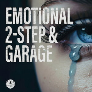 BLACK OCTOPUS EMOTIONAL 2-STEP & GARAGE(�I�����C���[�i)(2���Ԉȓ��ɔ[�i) �v���O�C���\�t�g