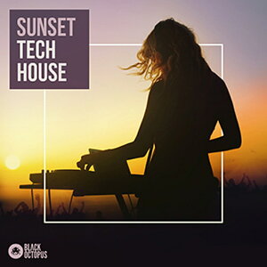 BLACK OCTOPUS SUNSET TECH HOUSE(IC[i)(2Ԉȓɔ[i) vOC\tg