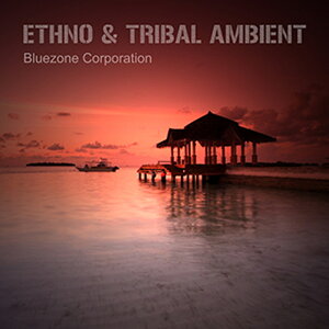 BLUEZONE ETHNO & TRIBAL AMBIENT(IC[i)(2Ԉȓɔ[i) vOC\tg