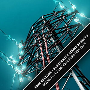 BLUEZONE HIGH VOLTAGE ELECTRICITY SOUND EFFECTS(IC[i)(2Ԉȓɔ[i) vOC\tg