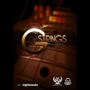 BIG FISH AUDIO yrbOtBbVI[fBIZ[IzG-STRINGS(IC[i)(2Ԉȓɔ[i) vOC\tg