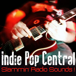 BIG FISH AUDIO INDIE POP CENTRAL - SLAMMIN' RADIO SOUNDS(�I�����C���[�i)(2���Ԉȓ��ɔ[�i) �v���O�C���\�t�g