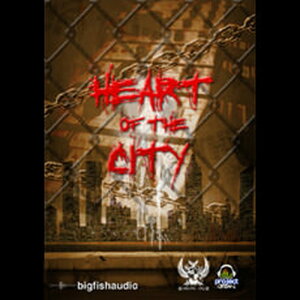 BIG FISH AUDIO HEART OF THE CITY(�I�����C���[�i)(2���Ԉȓ��ɔ[�i) �v���O�C���\�t�g
