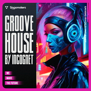 SINGOMAKERS GROOVE HOUSE BY INCOGNET(�I�����C���[�i)(2���Ԉȓ��ɔ[�i) �v���O�C���\�t�g