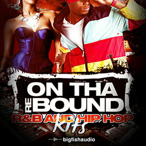 BIG FISH AUDIO ON THA REBOUND(IC[i)(2Ԉȓɔ[i) vOC\tg