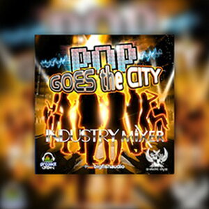 BIG FISH AUDIO yrbOtBbVI[fBIZ[IzPOP GOES THE CITY - INDUSTRY MIXER(IC[i)(2Ԉȓɔ[i) vOC\tg
