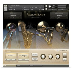 Native Instruments Session Horns (�l�C�e�B�u�C���X�g�������c)(�Z�b�V�����z�[��)(�I�����C���[�i)(2���Ԉȓ��ɔ[�i) �\�t�g�E�F�A����