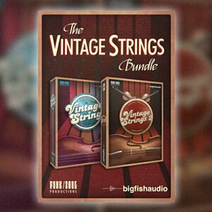 BIG FISH AUDIO VINTAGE STRINGS BUNDLE(IC[i)(2Ԉȓɔ[i) \tgEFA