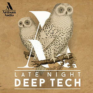 ARTISAN AUDIO LATE NIGHT DEEP TECH(IC[i)(2Ԉȓɔ[i) vOC\tg