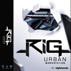 BIG FISH AUDIO RIG - URBAN WORKSTATION(IC[i)(2Ԉȓɔ[i) \tgEFA