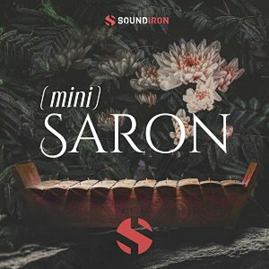 SOUNDIRON MINI SALON(IC[i)(2Ԉȓɔ[i) vOC\tg