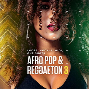 DIGINOIZ AFRO POP & REGGAETON 3(IC[i)(2Ԉȓɔ[i) vOC\tg