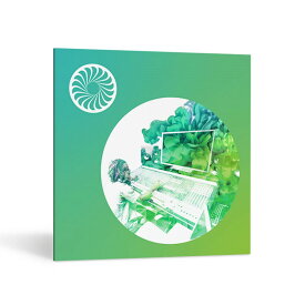 iZotope INSIGHT 2(アイゾトープ)(インサイト)(オンライン納品)(2時間以内に納品) プラグインソフト