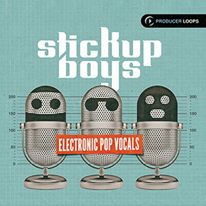 PRODUCER LOOPS STICK UP BOYS ELECTRONIC POP VOCALS(IC[i)(2Ԉȓɔ[i) vOC\tg