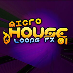 DELECTABLE RECORDS MICRO HOUSE 01(IC[i)(2Ԉȓɔ[i) vOC\tg