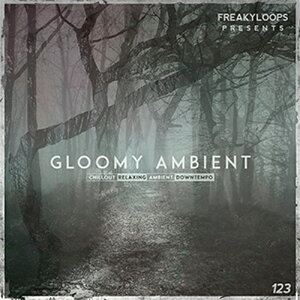 FREAKY LOOPS GLOOMY AMBIENT(�I�����C���[�i)(2���Ԉȓ��ɔ[�i) �v���O�C���\�t�g