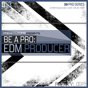 FREAKY LOOPS BE A PRO EDM PRODUCER(�I�����C���[�i)(2���Ԉȓ��ɔ[�i) �v���O�C���\�t�g