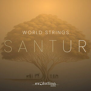 EVOLUTION SERIES WORLD STRINGS SANTUR(IC[i)(2Ԉȓɔ[i) \tgEFA