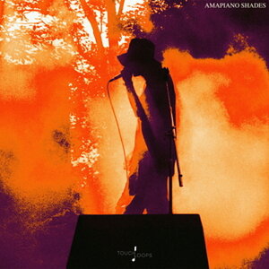 TOUCH LOOPS AMAPIANO SHADES(IC[i)(2Ԉȓɔ[i) vOC\tg