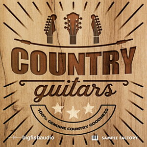 BIG FISH AUDIO yrbOtBbVI[fBIZ[IzCOUNTRY GUITARS(IC[i)(2Ԉȓɔ[i) vOC\tg