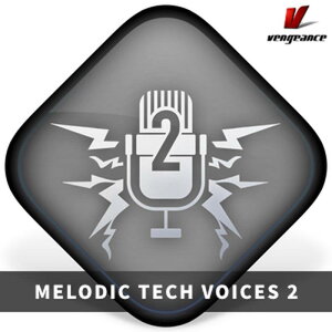 Vengeance Sound �y�x���W�F���X�T�E���hXmas Sale�I�zMELODIC TECH VOICES 2(�I�����C���[�i)(2���Ԉȓ��ɔ[�i) �\�t�g�E�F�A����
