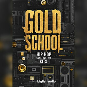 BIG FISH AUDIO yrbOtBbVI[fBIZ[IzGOLD SCHOOL HIP HOP CONSTRUCTION KITS(IC[i)(2Ԉȓɔ[i) vOC\tg
