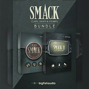 BIG FISH AUDIO SMACK BUNDLE(IC[i)(2Ԉȓɔ[i) \tgEFA