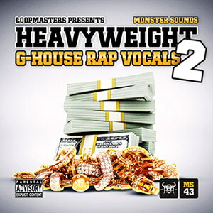 MONSTER SOUNDS HEAVYWEIGHT G-HOUSE RAP VOCALS VOL 2(�I�����C���[�i)(2���Ԉȓ��ɔ[�i) �v���O�C���\�t�g
