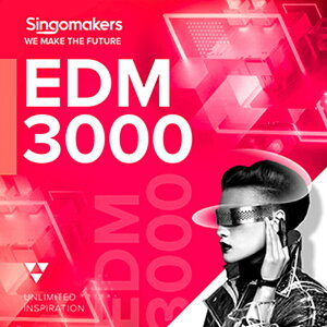SINGOMAKERS EDM 3000(�I�����C���[�i)(2���Ԉȓ��ɔ[�i) �v���O�C���\�t�g
