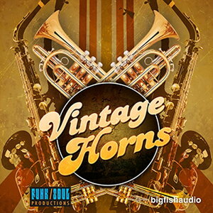 BIG FISH AUDIO �y�r�b�O�t�B�b�V���I�[�f�B�IMemorial Day Sale�I�zVINTAGE HORNS(�I�����C���[�i)(2���Ԉȓ��ɔ[�i) �\�t�g�E�F�A����