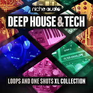NICHE AUDIO �y���[�v�}�X�^�[�Y�S�[���f���E�B�[�N�Z�[���I�zDEEP HOUSE & TECH BUNDLE(�I�����C���[�i)(2���Ԉȓ��ɔ[�i) �v���O�C���\�t�g