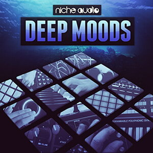 NICHE AUDIO DEEP MOODS - MASCHINE 2(�I�����C���[�i)(2���Ԉȓ��ɔ[�i) �v���O�C���\�t�g