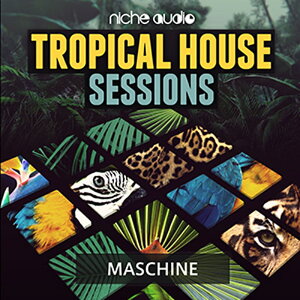 NICHE AUDIO TROPICAL HOUSE SESSIONS - MASCHINE 2(�I�����C���[�i)(2���Ԉȓ��ɔ[�i) �v���O�C���\�t�g