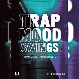 BIG FISH AUDIO TRAP MOOD SWINGS(IC[i)(2Ԉȓɔ[i) vOC\tg