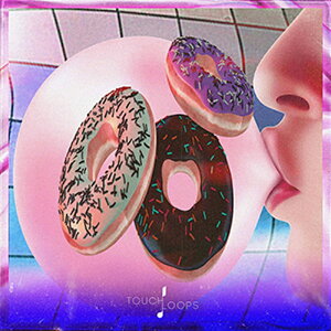 TOUCH LOOPS BUBBLE GUM BEATS(オンライン納品)(2時間以内に納品) プラグインソフト